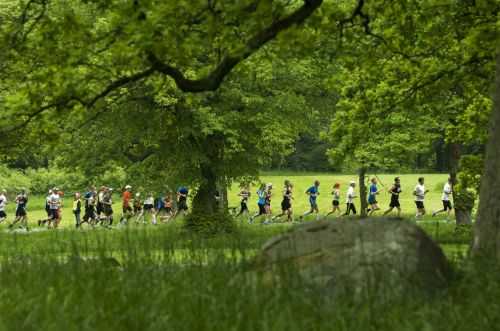 MARATONA DI STOCCOLMA 2013